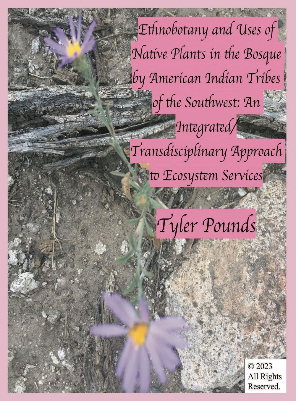 Ethnobotany and Uses of Native Plants in the Bosque by American Indian Tribes of the Southwest: An Integrated/Transdisciplinary Approach to Ecosystem Services