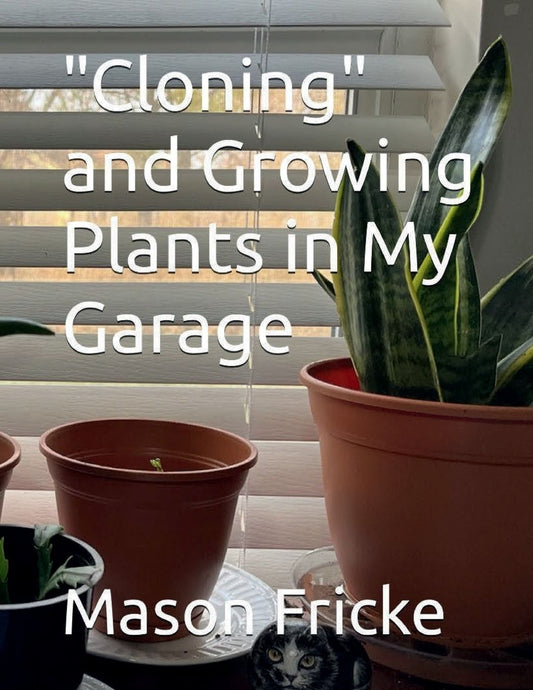 "Cloning" and Growing Plant in My Garage