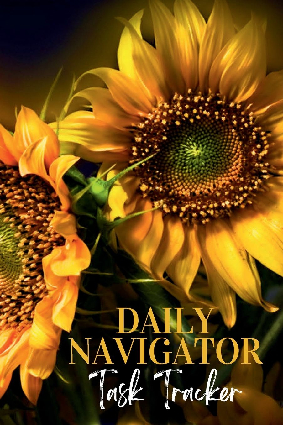 Daily Navigator: Task Tracker: